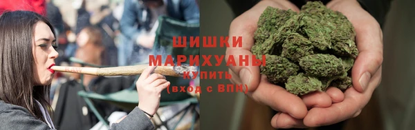 дмт Алзамай