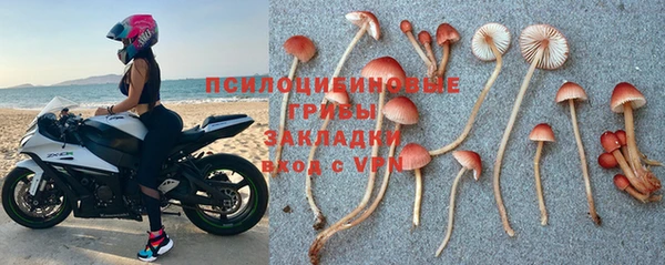 дмт Алзамай