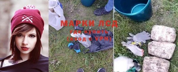 дмт Алзамай