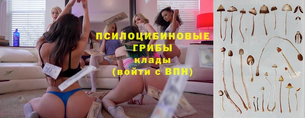 дмт Алзамай