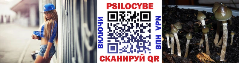 наркотики  Качканар  Галлюциногенные грибы Psilocybine cubensis 
