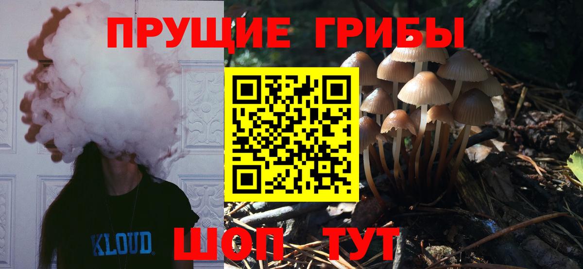 наркота  Псилоцибиновые грибы GOLDEN TEACHER  Галлюциногенные грибы Psilocybine cubensis  Вход с VPN  Качканар 